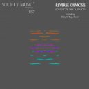 Reverse Osmosis - Somehow Like A Lemon (Roby M Rage remix)