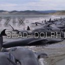 Ozzix - 58 dead dolphins