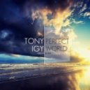 Tony Igy - Winter Angel