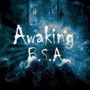 B.S.A. - Awaking