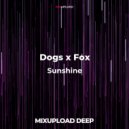 Dogs x Fox - Sunshine