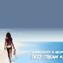 Gavronsky&Reznik - Deep Stream#25