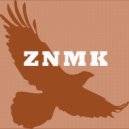 ZNMK - The Festival Is In Full Swing