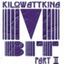 Alina Kilowattkina - IIMBit (Podcast)