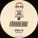 Spirit ID - Arabian Night (Olav Basoski Remix)