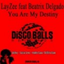 LayZee Ft. Beatrix Delgado - You Are My Destiny