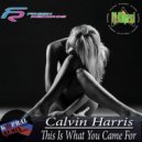 Calvin Harris - This Is What You Came For