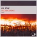Owl Stone - Abstract World