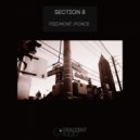 Section 8 - Ponce