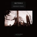 Section 8 - Ponce (Original)