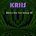 Kriis (FR) - Don't Leave Me Alone (Kriis (FR) Remix)