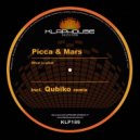 Picca & Mars - What Is What