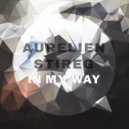 Aurelien Stireg - Dream (Original mix)