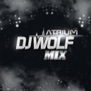 DJ WOLF - Special collection #0013 (November 2016)