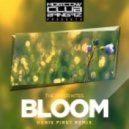 The Paper Kites - Bloom