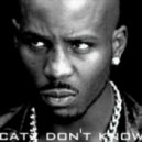DMX - Catz Dont Know