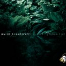 Invisible Landscape - Trouble Me (Original mix)