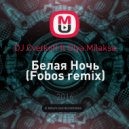 DJ Cvetkoff ft Olya Milaksa - Белая Ночь