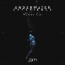 Future Cat - Underwater Experience