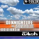DJ Knightlife & Silverblue - Do U Know (Avlish Remix)