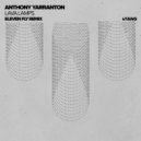 Anthony Yarranton, Eleven Fly - Lava Lamps
