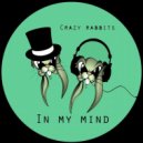 Crazy Rabbits - In My Mind (Original Mix)