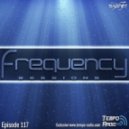 Dj Saginet - Frequency Sessions 117