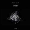 Rich Hardt - Crazy Bird