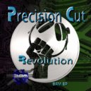 Precision Cut - Revolution (Original)
