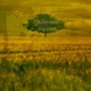 Alivvve - Calmness