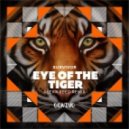 Survivor - Eye Of The Tiger