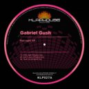 Gabriel Gush & Valerio Turchetti - Feel Night
