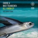 Cheise, Max Tolmachev - All I Know (Radu Mirica Remix)