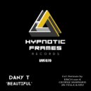 Dany T - Beautiful (Jin Tesla & RAV remix)