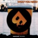BRAUNFUFEL - What You Need
