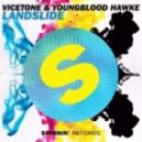 Vicetone & Youngblood Hawke - Landslide (Extended Mix)