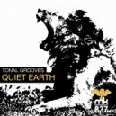 Tonal Grooves - Quiet Earth (Original Mix)
