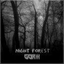 GORH - Night forest