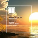 Brukah - Tingling Of The Sun (Nicky Havey Remix)