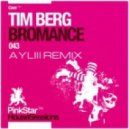Tim Berg - Seek bromance (AYL3 remix)