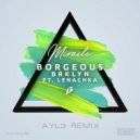 Borgeous & BRKLYN ft. Lenachka - Miracle (AYL3 remix)