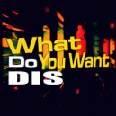 Dis - What Do You Want