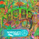 Spectrum Vision - Amazon\'s Breath (Original Mix)
