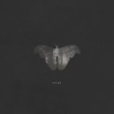 100 day delay - Atlas