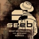 Seeb Ft. Jacob Banks - What Do You Love (Zonderling Remix)