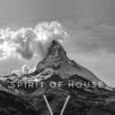 Erkan Akcadag - Spirit Of House