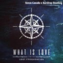 Lost Frequencies - What Is Love 2016 (Steve Cavalo x Bardrop Bootleg)