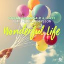Stefan Gruenwald & Lokee feat. Pearl Andersson - Wonderful Life (Musiker & Dj Jan Kuiper)
