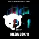 DMX x Shtopor x Wiwek x Moksi - Party Up (Novakane Mash-Up) (BERLOGA MUSIC)