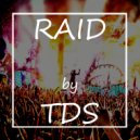 TDS - RAID (Original Mix)